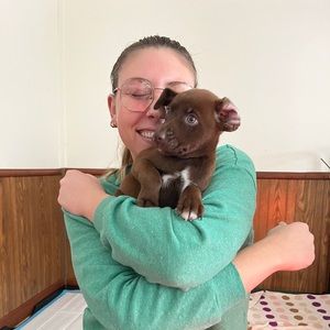 Meet your Posher, Amy